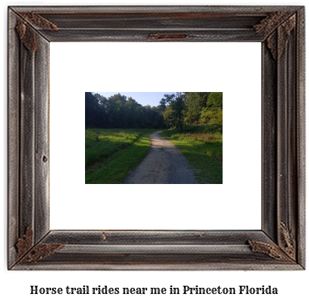 horse trail rides near me in Princeton, Florida